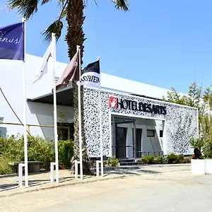 Des Arts & 4*, Tamarist Maroc